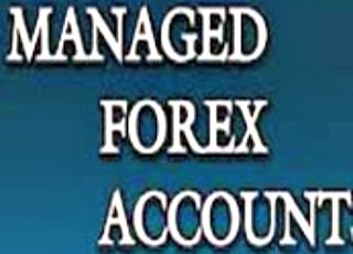 Managed Forex Account